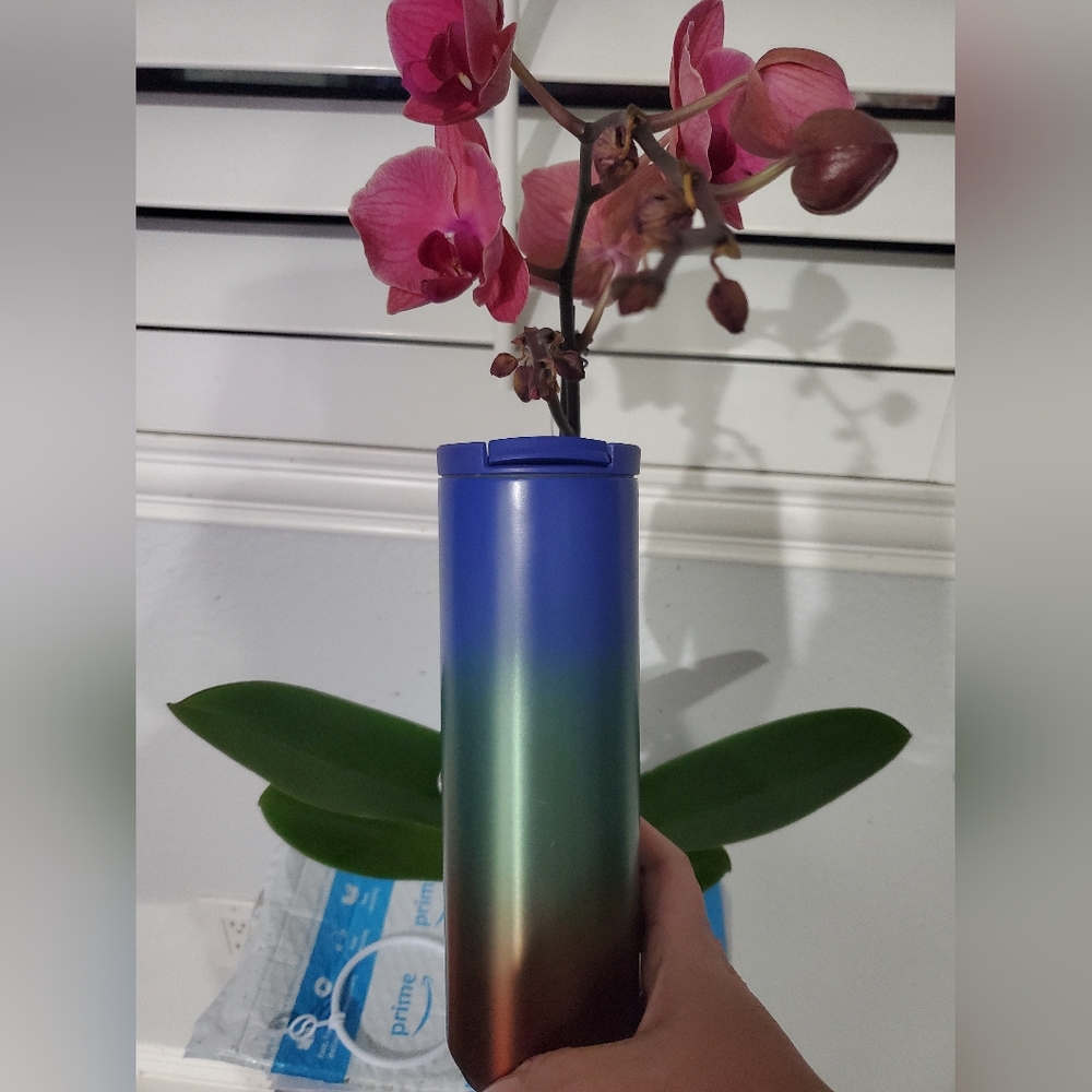 Startbucks summer 2020 ombre